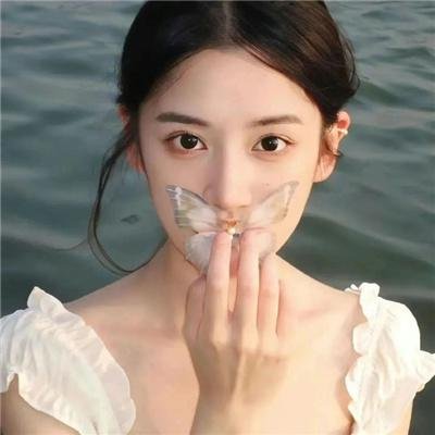 夏洛特的网